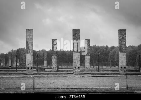 KZ Auschwitz von vielen Holzbaracken stehen nur noch die Oefen und Schornsteine auf dem Gelaende. *** Konzentrationslager Auschwitz nur die Öfen und Schornsteine vieler Holzbaracken stehen noch auf dem Gelände xMMx Credit: Imago/Alamy Live News Stockfoto