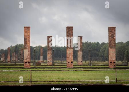 KZ Auschwitz von vielen Holzbaracken stehen nur noch die Oefen und Schornsteine auf dem Gelaende. *** Konzentrationslager Auschwitz nur die Öfen und Schornsteine vieler Holzbaracken stehen noch auf dem Gelände xMMx Credit: Imago/Alamy Live News Stockfoto