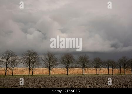 Dunkle Wolken sammeln sich über der Landschaft. Die Zufahrt zum Bauernhof Elswerd, zwischen Rottum und Doodstil in der Provinz Groningen. Stockfoto