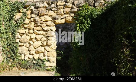 Eine Steinblockmauer mit einem Durchgangsgang, mit grünem Efeu bewachsen, im Freien, Teil eines alten antiken Gebäudes in den Dickicht von Grün Stockfoto