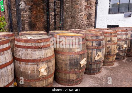 Whiskyfässer in der Springbank Distillery, die Single Malt Whisky in Campbeltown auf der Kintyre Peninsula, Argyll & Bute, Schottland, Großbritannien herstellen Stockfoto