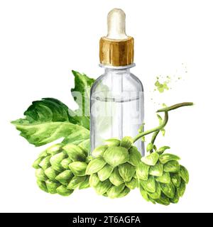 Frischer grüner Hopfen (Humulus lupulus) und Hopfenextrakt, handgezeichnete Aquarellillustration isoliert auf weißem Hintergrund Stockfoto