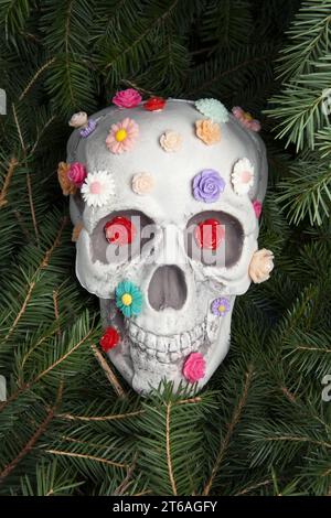 Ein Schädel bedeckt mit mehreren Plastikblumen in verschiedenen Farben, isoliert zwischen Tannenzweigen. Metapher der Zweige als Grabmal. Eitelkeit als allegorische Stockfoto