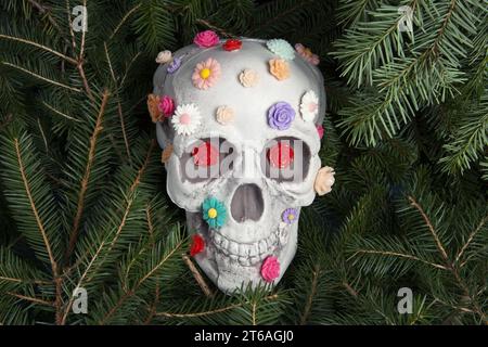 Ein Schädel bedeckt mit mehreren Plastikblumen in verschiedenen Farben, isoliert zwischen Tannenzweigen. Metapher der Zweige als Grabmal. Eitelkeit als allegorische Stockfoto