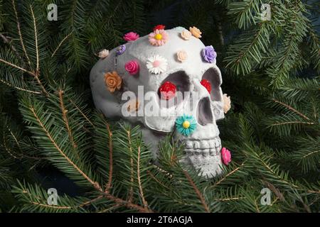 Ein Schädel bedeckt mit mehreren Plastikblumen in verschiedenen Farben, isoliert zwischen Tannenzweigen. Metapher der Zweige als Grabmal. Eitelkeit als allegorische Stockfoto