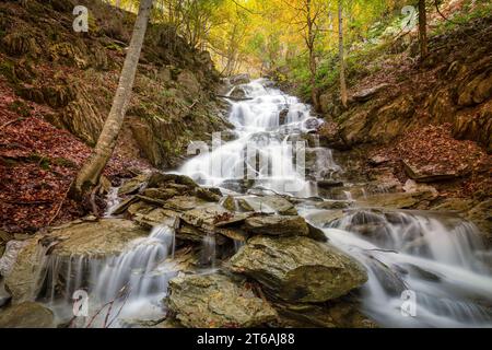 Wasserfall in einem spektakulären goldenen Herbstbuchenwald an der Gartxot Bergstraße in Navarra, Spanien im Herbst Stockfoto