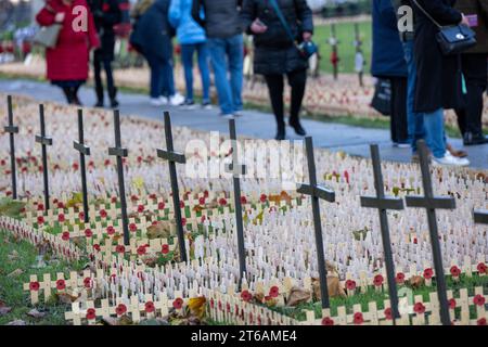 London, Großbritannien. November 2023. Westminster Abbey Field of Remember ist öffentlich zugänglich: Ian Davidson/Alamy Live News Stockfoto