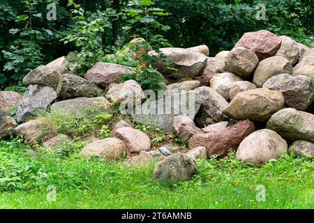 Ein Haufen großer Granitsteine, die vom Feld gesammelt wurden Stockfoto