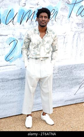 London, Großbritannien. Juni 2019. Labrinth nimmt an der Summer Party 2019 Teil, die von Serpentine Galleries und Chanel in der Serpentine Gallery in London, England, veranstaltet wird. (Foto: Fred Duval/SOPA Images/SIPA USA) Credit: SIPA USA/Alamy Live News Stockfoto