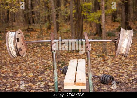 Hausgemachte Eisenbarbell im Wald. Stockfoto