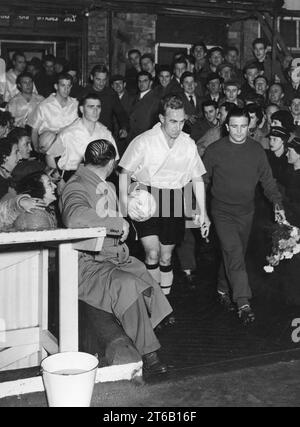 Wolverhampton Wanderers gegen Honved FC Billy Wright und Ferenc Puskás führten 1954 die Teams in Molineux an Stockfoto