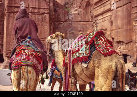 Touristen reiten auf Kamelen entlang des Siq Canyon und erkunden die Sehenswürdigkeiten der Stadt Petra, Jordanien Stockfoto