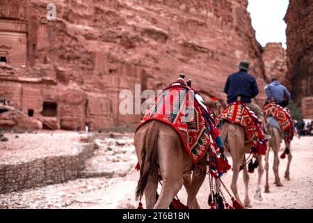Touristen reiten auf Kamelen entlang des Siq Canyon und erkunden die Sehenswürdigkeiten der Stadt Petra, Jordanien Stockfoto