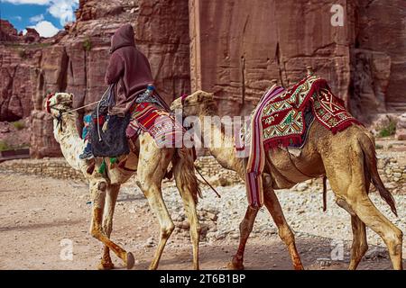 Touristen reiten auf Kamelen entlang des Siq Canyon und erkunden die Sehenswürdigkeiten der Stadt Petra, Jordanien Stockfoto