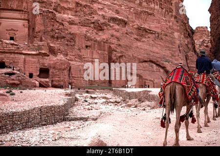 Touristen reiten auf Kamelen entlang des Siq Canyon und erkunden die Sehenswürdigkeiten der Stadt Petra, Jordanien Stockfoto