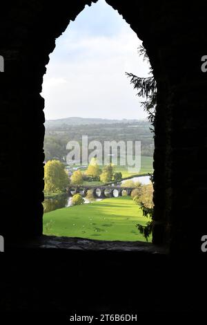 Blick auf das Dorf Inistioge von der Kapelle, den Woodstock Gardens und dem Arboretum Stockfoto