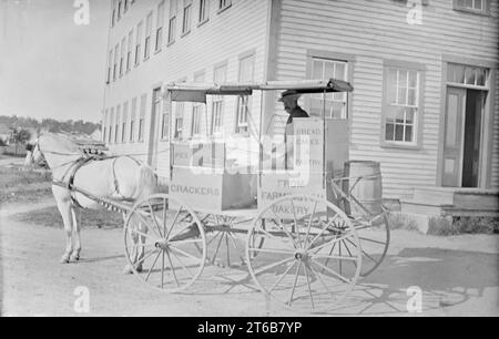 Antikes Foto um 1885, Lieferpferd und Kutsche aus Farmington Bakery, wahrscheinlich Farmington, Maine, USA. Die Bäckerei brannte beim Farmington-Brand von 1886 nieder. QUELLE: ORIGINAL 5X8 GLAS NEGATIV Stockfoto