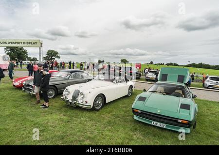 Tarporley, Cheshire, England, 30. Juli 2023. Grüner Ferrari 308 GTB und weißer Jaguar XK150 bei einem Oldtimer-Treffen. Stockfoto