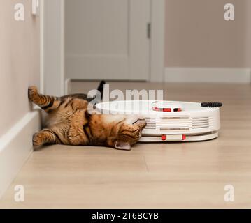 Haustierkonzept. Eine schöne, verspielte Leopardenkatze, die bengalische Rasse, liegt lustig und beobachtet einen weißen Roboter-Staubsauger, der in einem Wohnraum reinigt. Close-u Stockfoto