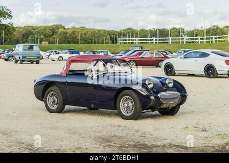 Chester, Cheshire, England, 29. September 2023. Blue Austin-Healey Sprite bei einer Oldtimer-Ausstellung, Lifestyle-Illustration für Automobile. Stockfoto
