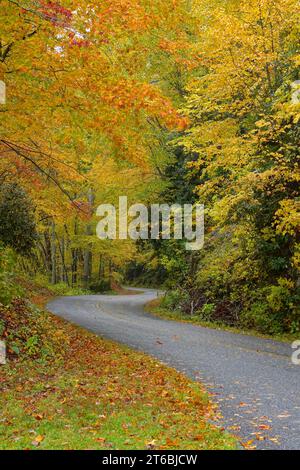 Fahren Sie im Herbst auf dem Blue Ridge Parkway in North Carolina Stockfoto