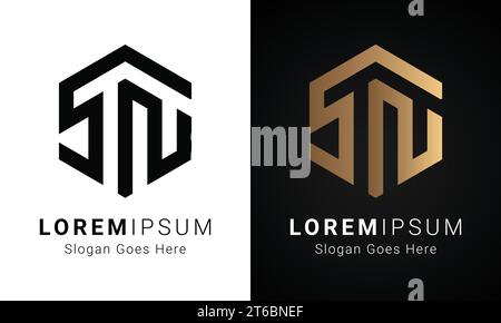 Luxus Initial SN oder NS Monogramm Text Letter Logo Design Stock Vektor