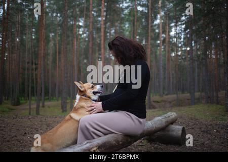 Eine schwangere Frau sitzt auf einem Baumstamm im Wald und spielt mit ihrem Corgi-Hund Stockfoto