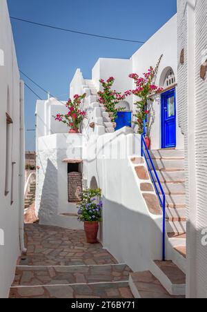 Enge Kopfsteinpflasterallee, Häuser mit weiß getünchten Wänden und Blumen in Volax, einem malerischen Dorf auf der Insel Tinos, in Kykladen, Griechenland. Stockfoto