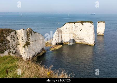 Old Harry Rocks Kreideformation und Geologie, Isle of Purbeck, East End Jurassic Coast, Studland, England, UK, Herbst 2023 Stockfoto