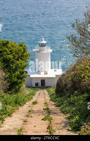 Der steile Weg hinunter zum Tater du Lighthouse in der Nähe von Lamorna Cove, Cornwall, West Country, England, Großbritannien Stockfoto