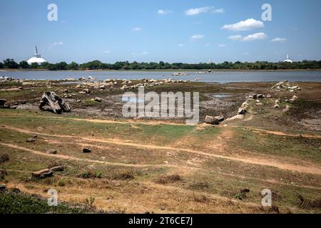 Der Niedrigwasserstand des Basawakkulama-Tanks bei Anuradhapura in Sri Lanka. In der Antike war es Abhaya Wewa Stockfoto