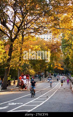 Central Park im Herbst, Pferdekutsche im Herbst Stockfoto