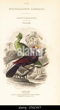 Titelseite mit Vignette aus Guinea Turaco, Tauraco persa buffoni und violettem Turaco, Musophaga violacea. Handkolorierter Stahlstich von William Lizars nach einer Illustration von James Stewart aus William John Swainsons Birds of Western Africa in Sir William Jardines Naturalists Library: Ornithology, Lizars, Edinburgh, 1837. Stockfoto