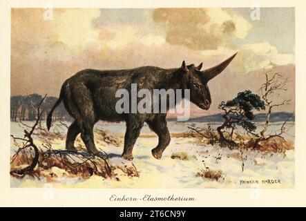 Sibirisches Einhorn, Elasmotherium sibiricum, ausgestorbenes Riesennashorn, das im Pliozän bis pleistozänn in Asien beheimatet war. Einhorn-Elasmotherium. Farbige Illustration von Heinrich Harder von Wilhelm Bolsches Tiere der Urwelt, Reichardt Cocoa Company, Hamburg, 1908. Heinrich Harder (1858–1935) war ein deutscher Landschaftskünstler und Buchillustrator. Stockfoto