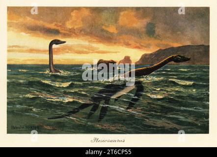 Plesiosaurus dolichodeirus im Ozean. Plesiosaurus (griechisch Plesios, „nahe“ und Sauros „Eidechse“) war ein großes sauropterygisches Reptil, das in der frühen Zeit des Jura lebte. Plesiosaurus. Farbige Illustration von Heinrich Harder von Wilhelm Bolsches Tiere der Urwelt, Reichardt Cocoa Company, Hamburg, 1908. Heinrich Harder (1858–1935) war ein deutscher Landschaftskünstler und Buchillustrator. Stockfoto