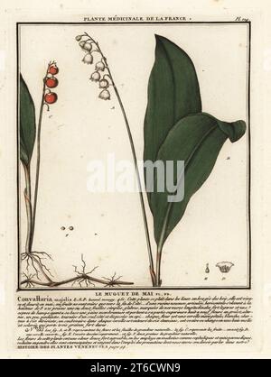 Maiglöckchen, Le muguet de Mai, Convallaria majalis. Kupferstich in drei Farben von Pierre Bulliard aus seiner Herbier de la France, ou Collection complete des plantes indigees de ce royaume, Didot jeune, Debure et Belin, 1780-1793. Stockfoto