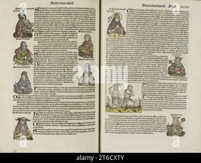 Zwei Seiten aus dem Liber Chronicarum, 1493. Die Liber chronicarum oder Nürnberger Chronik ist eine Geschichte der Welt, die im Rahmen der biblischen Erzählung von der Schöpfung bis zum Jüngsten Gericht in sieben Zeitalter unterteilt ist. Das Buchprojekt wurde von zwei Nürnberger Kaufleuten in Auftrag gegeben: Sebald Schreyer (1446–1503) und sein Schwiegersohn Sebastian Kammermeister (1446–1520). Der lateinische Text wurde von Hartmann Schedel (1440–1514), einem Arzt und Humanist, komponiert und von George Alt (1450–1510), einem Schreiber der Nürnberger Schatzkammer, ins Deutsche übersetzt. Stockfoto