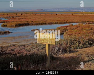 Palo Alto Baylands Preserve, Harriet Bundy Marsh, entlang der San Francisco Bay, Kalifornien Stockfoto