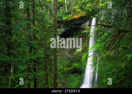 Marymere Falls, Olympic National Park, Washington Stockfoto