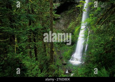 Marymere Falls, Olympic National Park, Washington Stockfoto