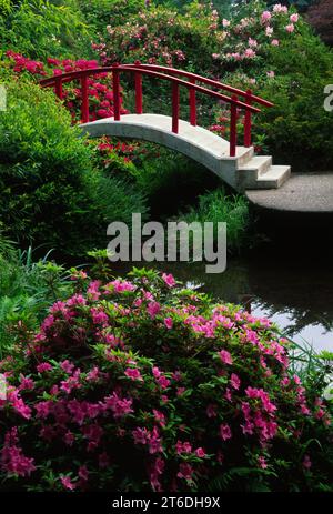 Mond-Brücke, Kubota Garten, Seattle, Washington Stockfoto