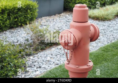 Roter Hydrant auf grünem Gras Stockfoto