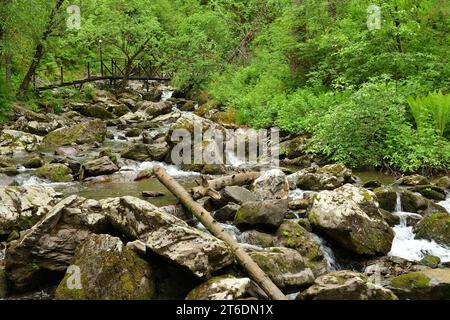 Gefällte Baumstämme und große Steine im Bett eines schnellen Baches, der von den Bergen durch den Sommerwald fließt. Tevenek River (Third River Stockfoto