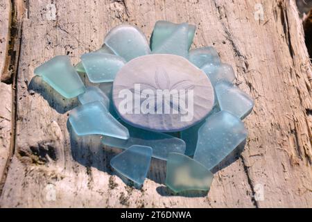 Originalkunst von mir. Sand Dollar mit Blue Sea Glass auf Treibholz Stockfoto