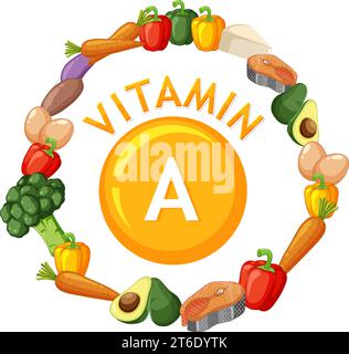 Darstellung nahrhafter Lebensmittel mit hohem Vitamin-A-Gehalt Stock Vektor
