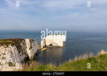 Old Harry Rocks Isle of Purbeck, East End Jurassic Coast, Studland, England, UK, Herbst 2023 Stockfoto