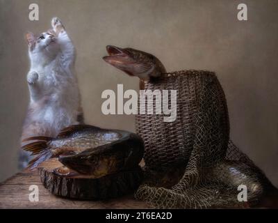 Stillleben mit Fischen und neugierigen Katzen Stockfoto