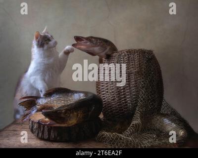 Stillleben mit Fischen und neugierigen Katzen Stockfoto