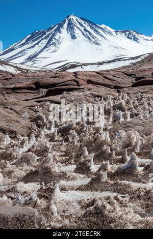 Der schneebedeckte Berg überblickt Eisformationen an den Ufern der Laguna Miscanti in den Anden im Norden Chiles. Stockfoto