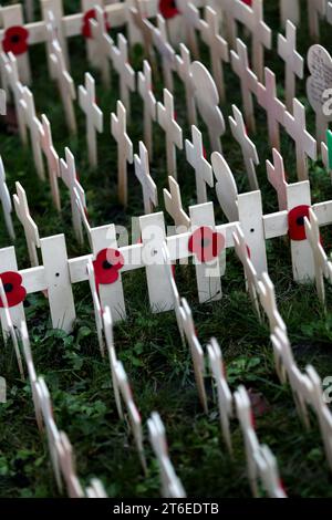 London, Großbritannien. November 2023. Gedenkkreuze mit Mohnblumen werden geordnet in Linien gesetzt. Es ist das 95. Field of Remembrance in der Westminster Abbey. Das Field of Remembrance wird seit November 1928 auf dem Gelände der Westminster Abbey abgehalten, um an diejenigen zu erinnern, die ihr Leben im Dienst der Streitkräfte verloren haben. Quelle: SOPA Images Limited/Alamy Live News Stockfoto